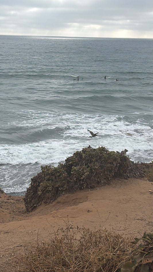A wonderful day by the sea