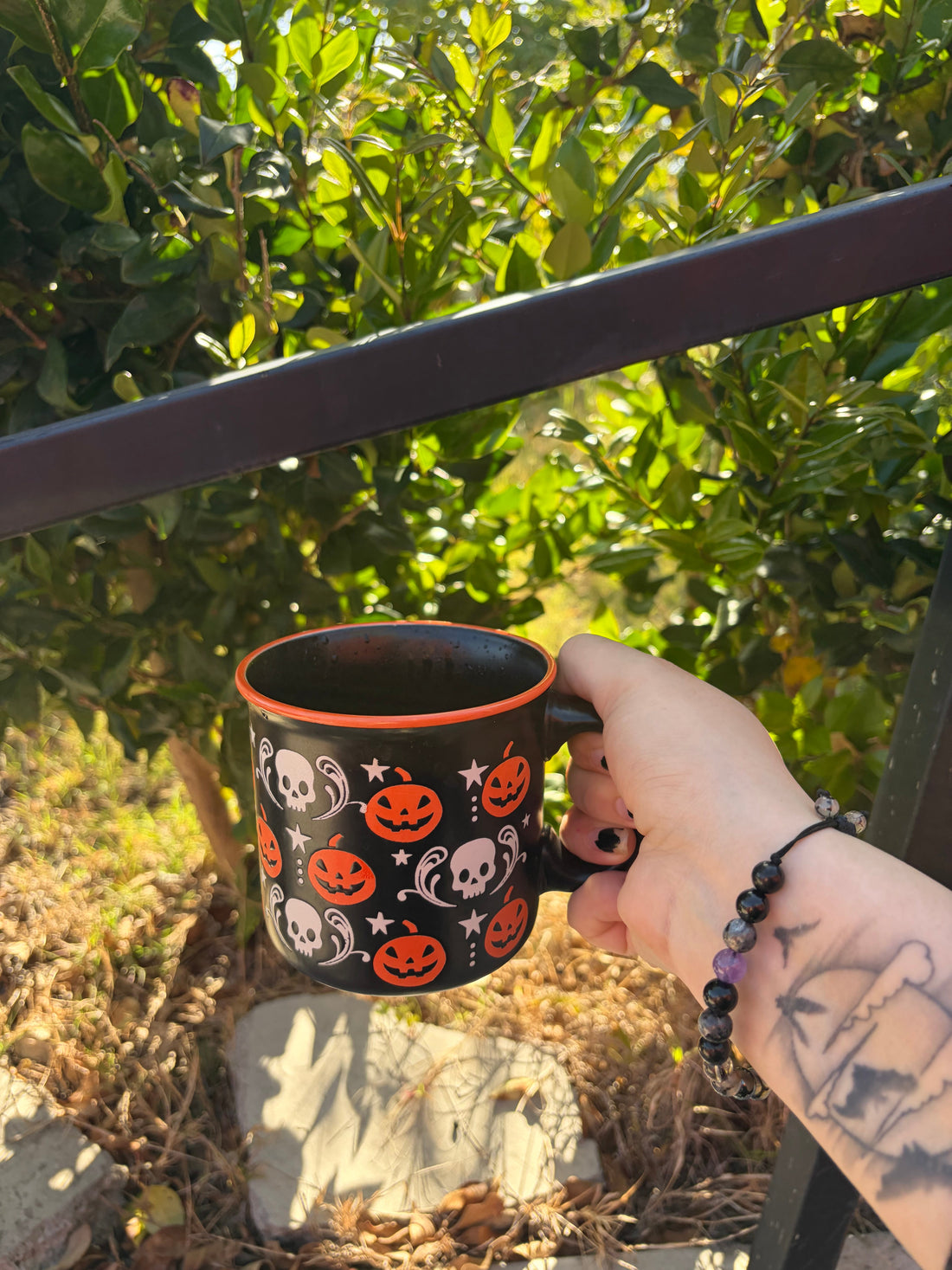 A Morning in the Garden
