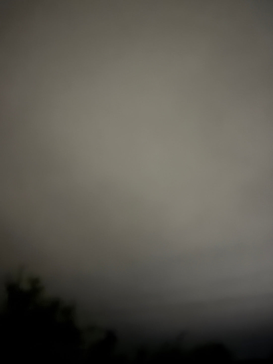 Foggy Noche