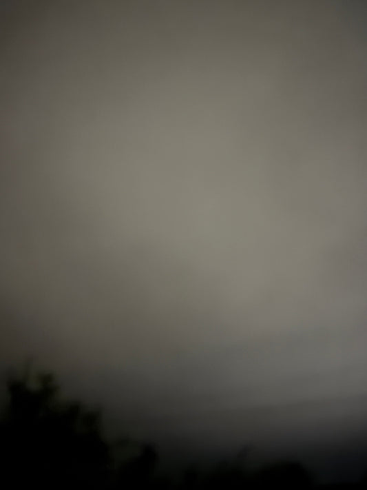 Foggy Noche