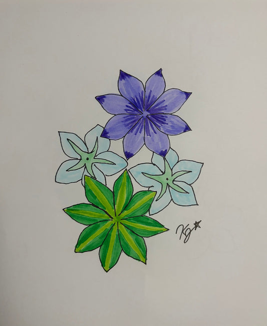 Star Flowers